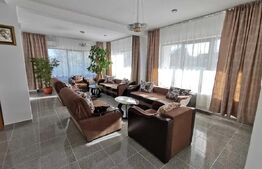 Pensiune Clasificată 3 Margarete, 458 mp, Goicea, Dolj