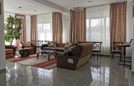 Pensiune Clasificată 3 Margarete, 458 mp, Goicea, Dolj