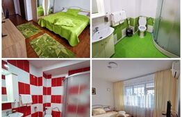 Pensiune Clasificată 3 Margarete, 458 mp, Goicea, Dolj