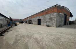 Hala 900 mp utili cu 1869 mp de teren 