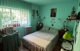 Apartament semi-decomandat, 2 camere, parter, Brazda lui Novac