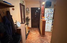Apartament semi-decomandat, 2 camere, parter, Brazda lui Novac