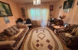 Apartament semi-decomandat, 2 camere, parter, Brazda lui Novac