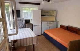 CASA SPATIOASA CU TEREN 1300MP, ANEXA LOCUIBILA+GARAJ BALS OLT