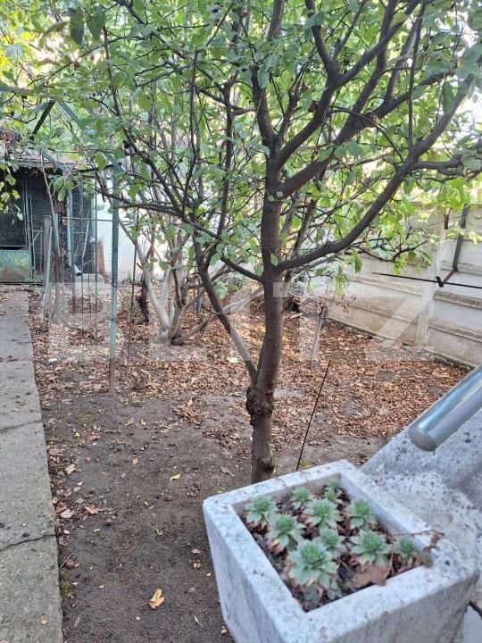 Casa de vânzare 10 camere Central - 200761CV | BLITZ Craiova | Poza11