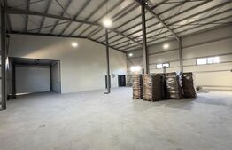 Spațiu industrial/comercial de închiriat, 1.590 m2, hală + birouri, Malu Mare