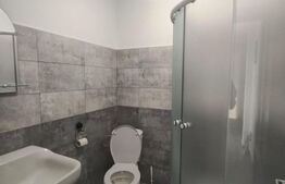 Spațiu industrial/comercial de închiriat, 1.590 m2, hală + birouri, Malu Mare