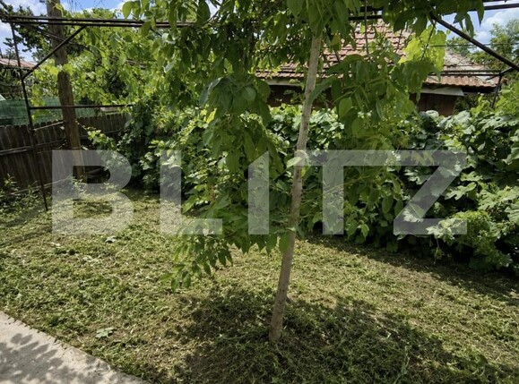 Casa de vânzare 3 camere Brestei - 200774CV | BLITZ Craiova | Poza7