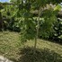 Casa de vânzare 3 camere Brestei - 200774CV - Poza 1 din 7 | BLITZ Craiova | Poza6