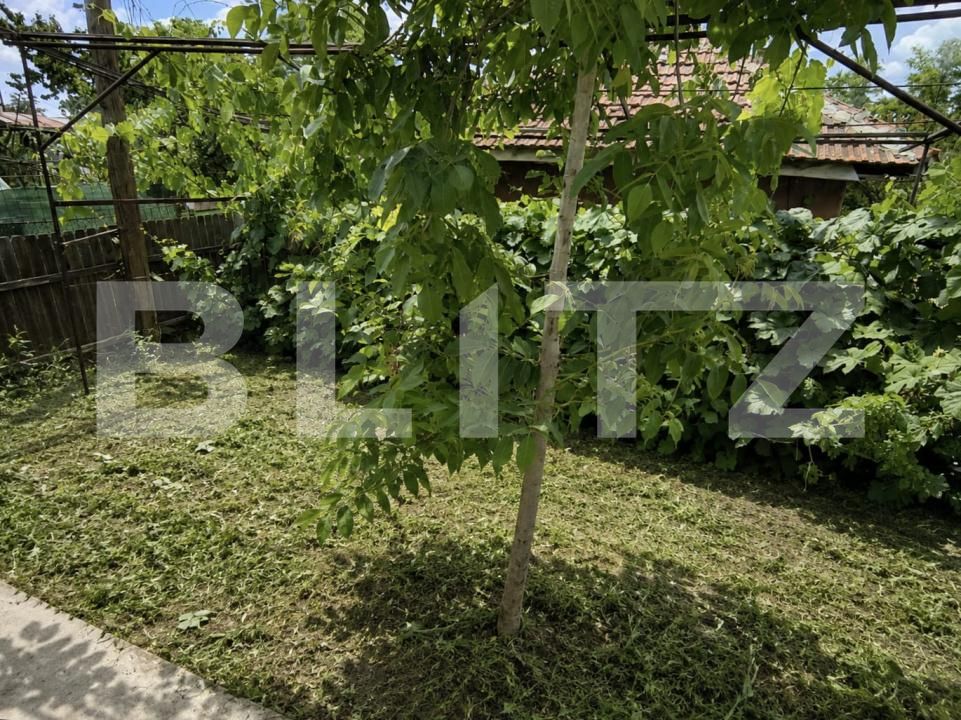 Casa de vânzare 3 camere Brestei - 200774CV | BLITZ Craiova | Poza7