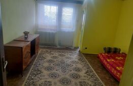 Garsoniera de vanzare, 31 mp, zona Brazda lui Novac