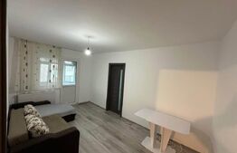 Apartament de vanzare, 2 camere, Zona Kaufland - Bals