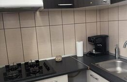 Apartament 2 camere tip studio, bloc 2019, Brazda lui Novac