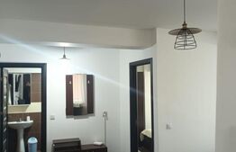 Apartament 2 camere tip studio, bloc 2019, Brazda lui Novac