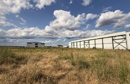 Teren intravilan industrial 692 mp, front 15m, Cârcea, zona Flux Arena