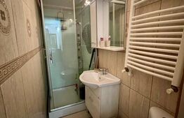 Garsoniera, 38 mp, AC si centrala proprie, parter, zona Centrala