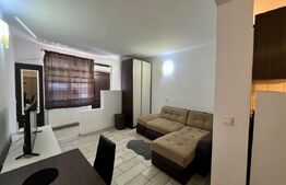 Garsoniera, 38 mp, AC si centrala proprie, parter, zona Centrala