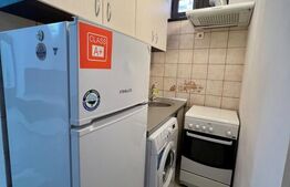 Garsoniera, 38 mp, AC si centrala proprie, parter, zona Centrala