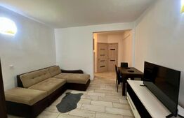 Garsoniera, 38 mp, AC si centrala proprie, parter, zona Centrala