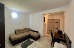 Garsoniera, 38 mp, AC si centrala proprie, parter, zona Centrala