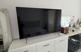 Apartament 2 camere Brazda lui Novac, Bulevardul Dacia 
