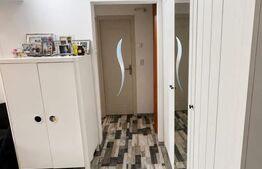 Redus Apartament 2 camere Brazda lui Novac, Bulevardul Dacia 
