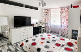 Apartament 2 camere Brazda lui Novac, Bulevardul Dacia 