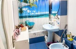 Redus Apartament 2 camere Brazda lui Novac, Bulevardul Dacia 