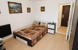 Garsoniera semidecomandata, 23mp, zona Valea Rosie