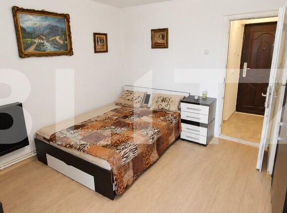 Garsonieră de vânzare Valea Rosie - 201047AV | BLITZ Craiova | Poza1