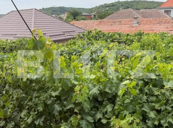 Casa de vânzare 4 camere Podari - 201060CV | BLITZ Craiova | Poza5