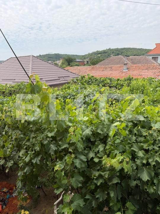Casa de vânzare 4 camere Podari - 201060CV | BLITZ Craiova | Poza5