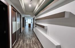 Penthouse de lux, centrala termica, aer conditionat, zona Ciuperca