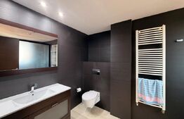 Penthouse de lux, centrala termica, aer conditionat, zona Ciuperca