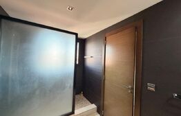 Penthouse de lux, centrala termica, aer conditionat, zona Ciuperca