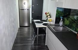 Decamandat 48 m² utili 2 camere, Cl. Bucuresti, Rotonda