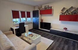 Decamandat 48 m² utili 2 camere, Cl. Bucuresti, Rotonda