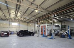 Hala 550 mp, zona Mercedes, Popeci Auto