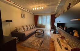 Apartament 2 camere, et 1,  mobilat si utilat, zona Piata Centrala