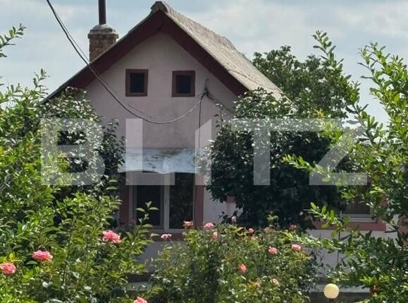 Casa de vânzare 3 camere Exterior Vest - 201138CV | BLITZ Craiova | Poza2