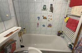 Garsonieră decomandata, 35 mp , etaj 1/4, zona Lapus Argesi