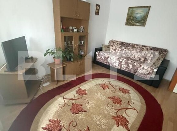 Garsonieră de vânzare Lapus Arges - 201142AV | BLITZ Craiova | Poza1