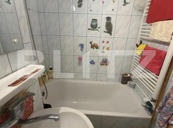 Garsonieră de vânzare Lapus Arges - 201142AV | BLITZ Craiova | Poza10