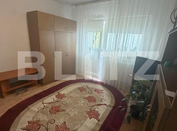 Garsonieră de vânzare Lapus Arges - 201142AV | BLITZ Craiova | Poza2