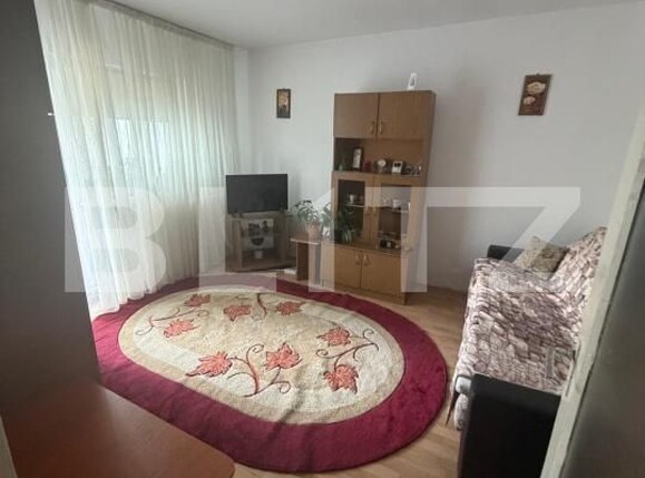 Garsonieră de vânzare Lapus Arges - 201142AV | BLITZ Craiova | Poza3