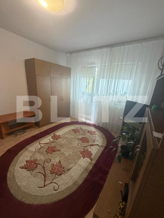 Garsonieră de vânzare Lapus Arges - 201142AV | BLITZ Craiova | Poza2