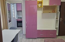 Apartament 3 camere, mobilat și utilat modern, Valea Roșie