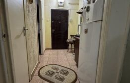 Apartament 2 camere, 55 mp, zona Brazda lui Novac 