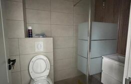 Casă nouă cu finisaje premium, zona Parcului Romanescu