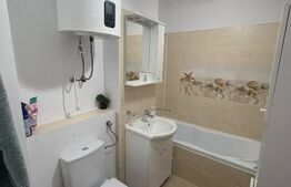 Apartament 2 camere, Etaj 3,  Rovine